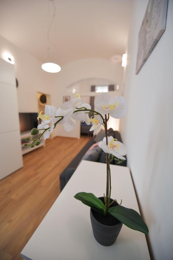 Duplex Apartment براغ المظهر الخارجي الصورة